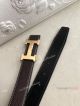 Copy Hermes Women Belt - Dark Brown with Gold Buckle (14)_th.jpg